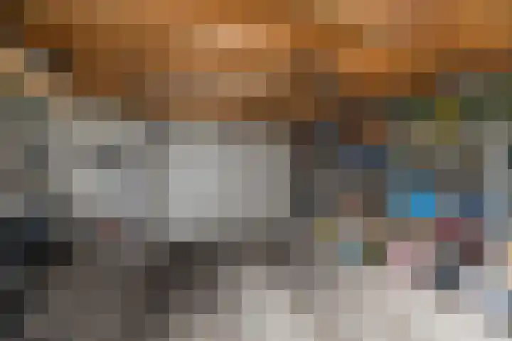 Vliegeniersweg 65 Sassenheim thumbnail 39