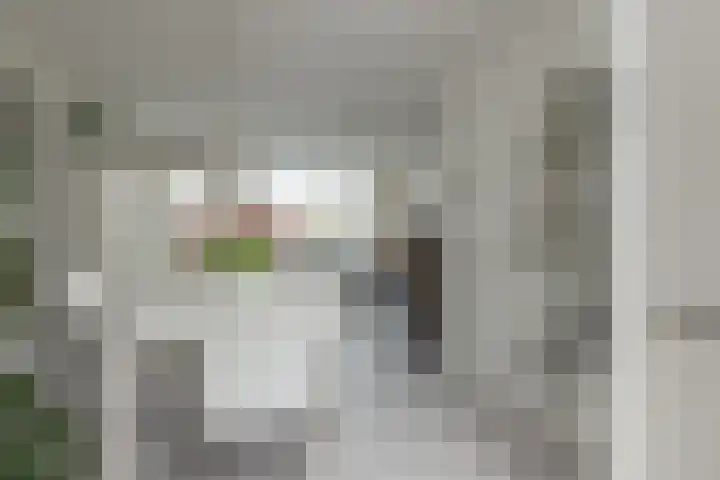 Vliegeniersweg 65 Sassenheim thumbnail 4