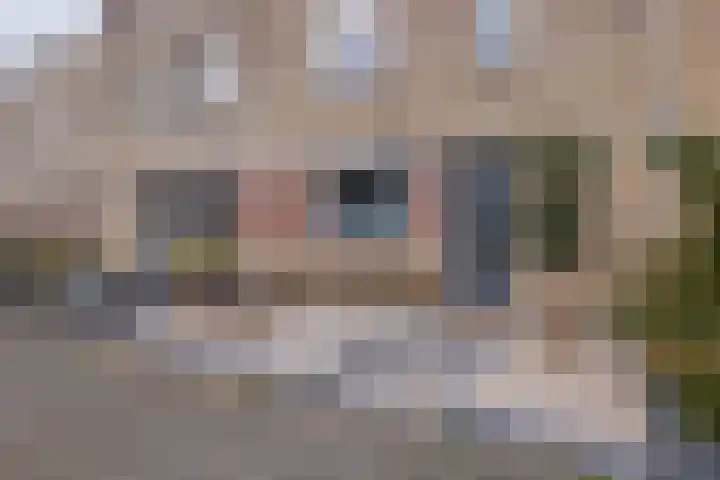 Vliegeniersweg 65 Sassenheim thumbnail 43