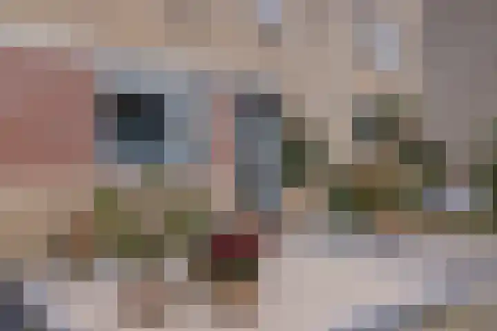 Vliegeniersweg 65 Sassenheim thumbnail 44