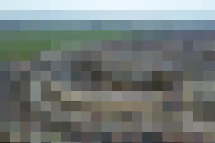 Vliegeniersweg 65 Sassenheim thumbnail 47