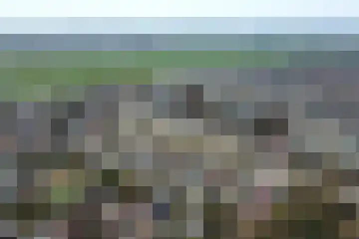 Vliegeniersweg 65 Sassenheim thumbnail 48