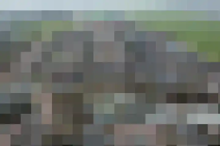 Vliegeniersweg 65 Sassenheim thumbnail 50