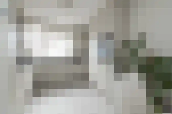 Vliegeniersweg 65 Sassenheim thumbnail 6