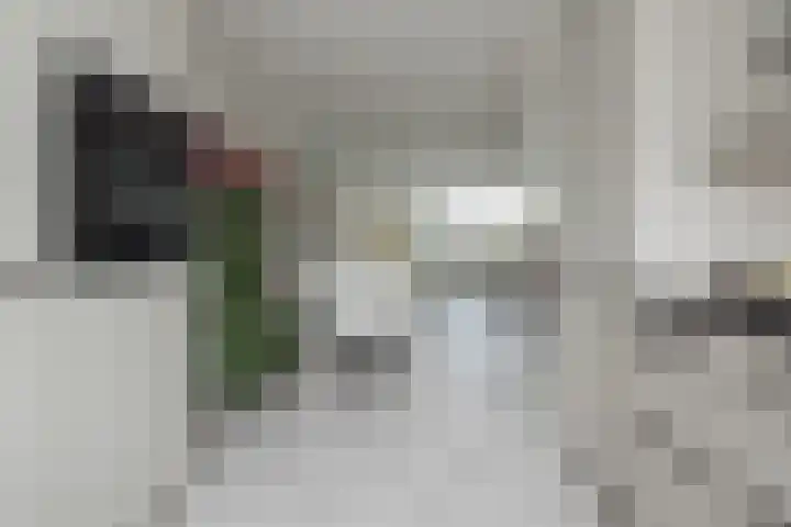 Vliegeniersweg 65 Sassenheim thumbnail 8