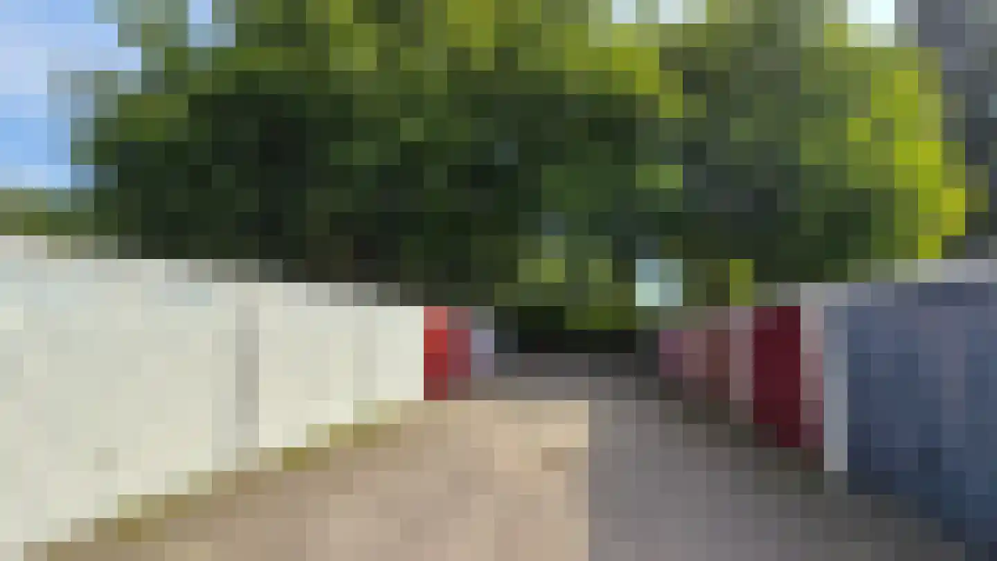 Vliegenpad 6 Meppel thumbnail 7