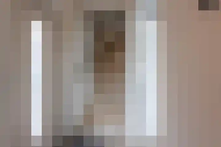 Vliegenpoel 10 Landgraaf thumbnail 15