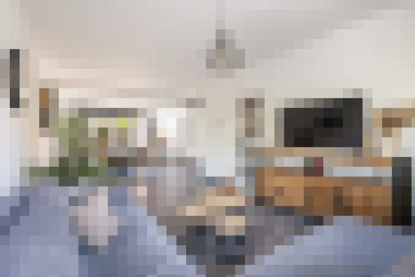Vliegenstraat 1 Gouda thumbnail 6