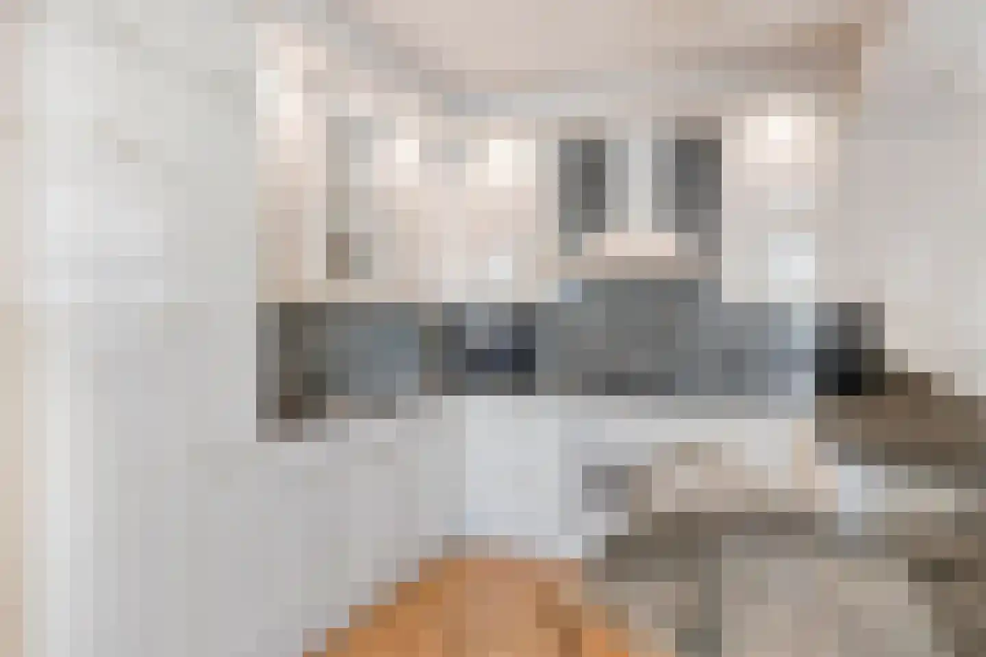 Vliegenstraat 14 Bunde thumbnail 13