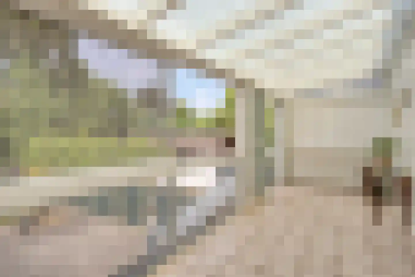 Vliegenstraat 14 Bunde thumbnail 14
