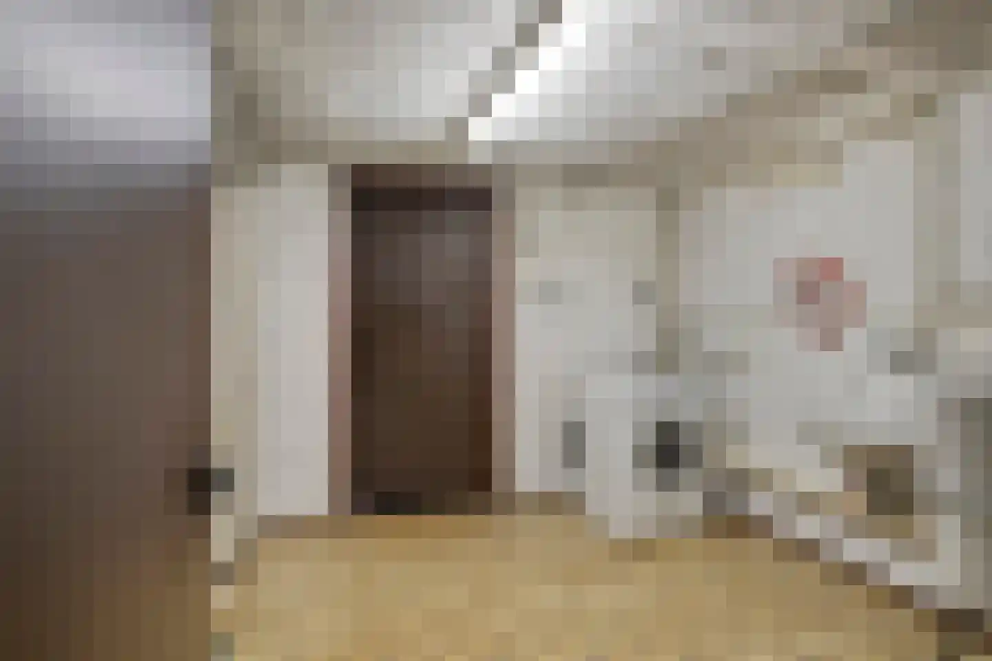 Vliegenstraat 14 Bunde thumbnail 21