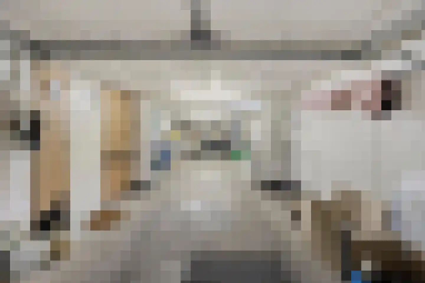 Vliegenstraat 14 Bunde thumbnail 24