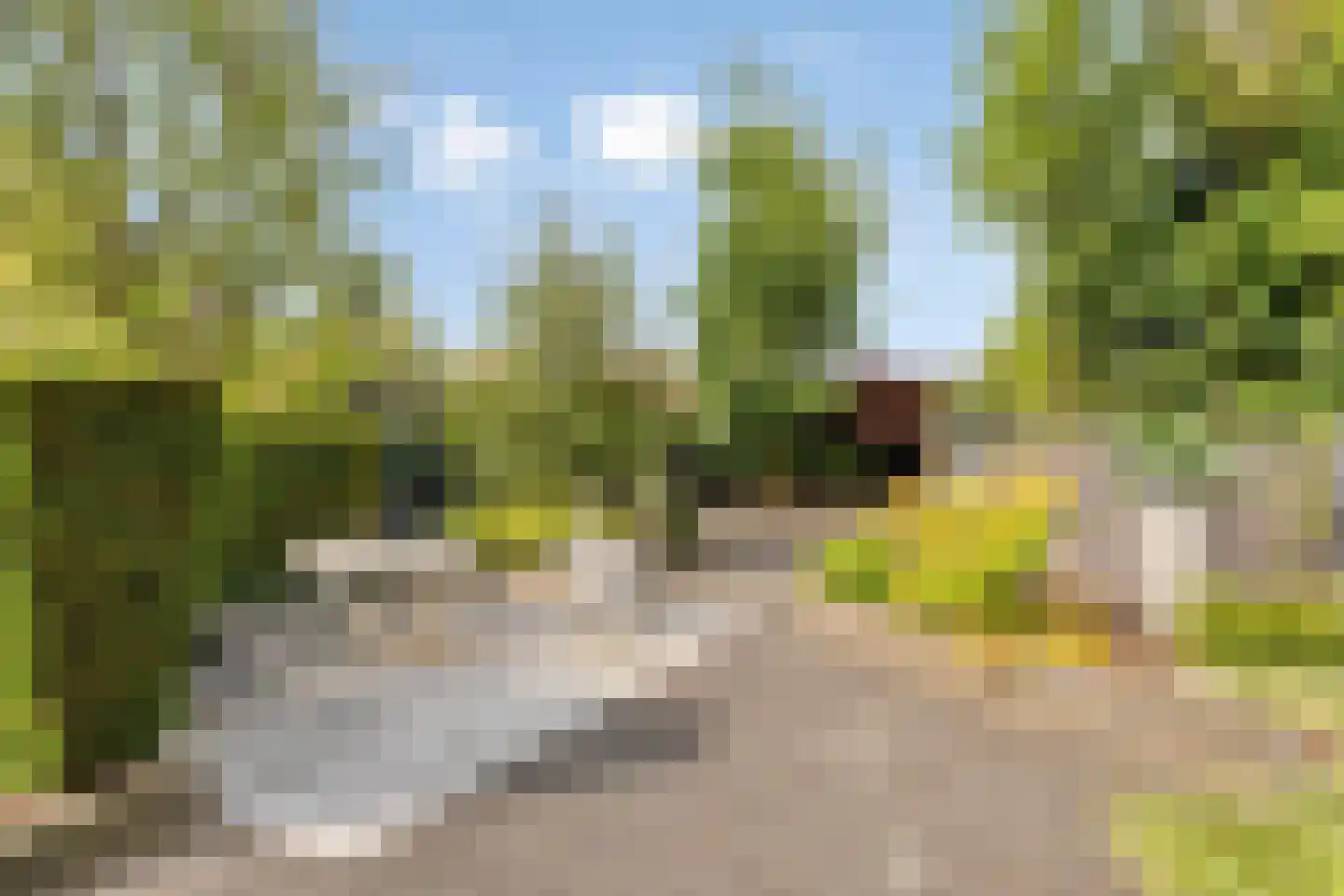 Vliegenstraat 14 Bunde thumbnail 27