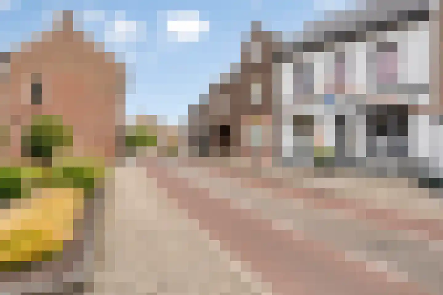 Vliegenstraat 14 Bunde thumbnail 30