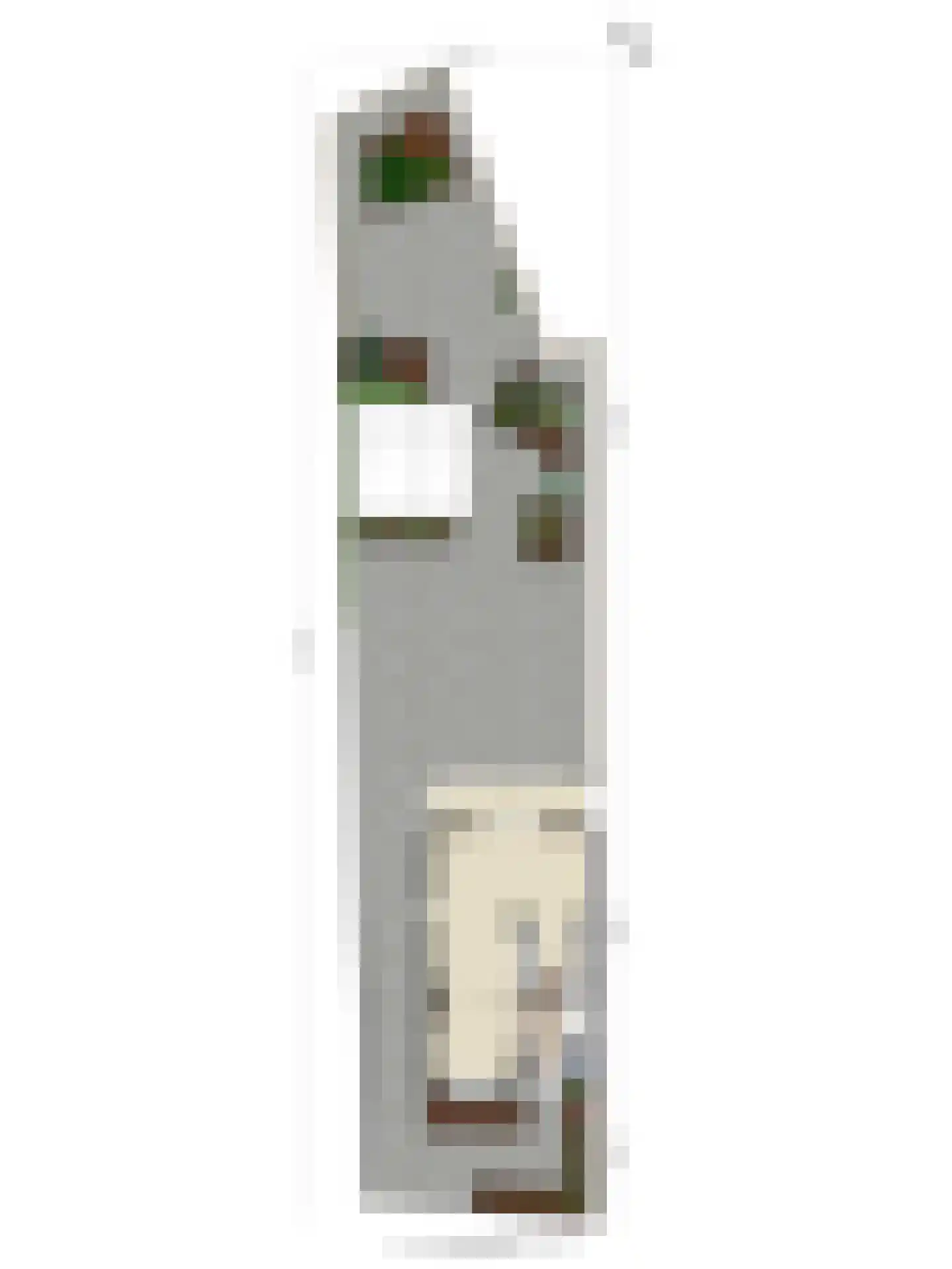 Vliegenstraat 14 Bunde thumbnail 32