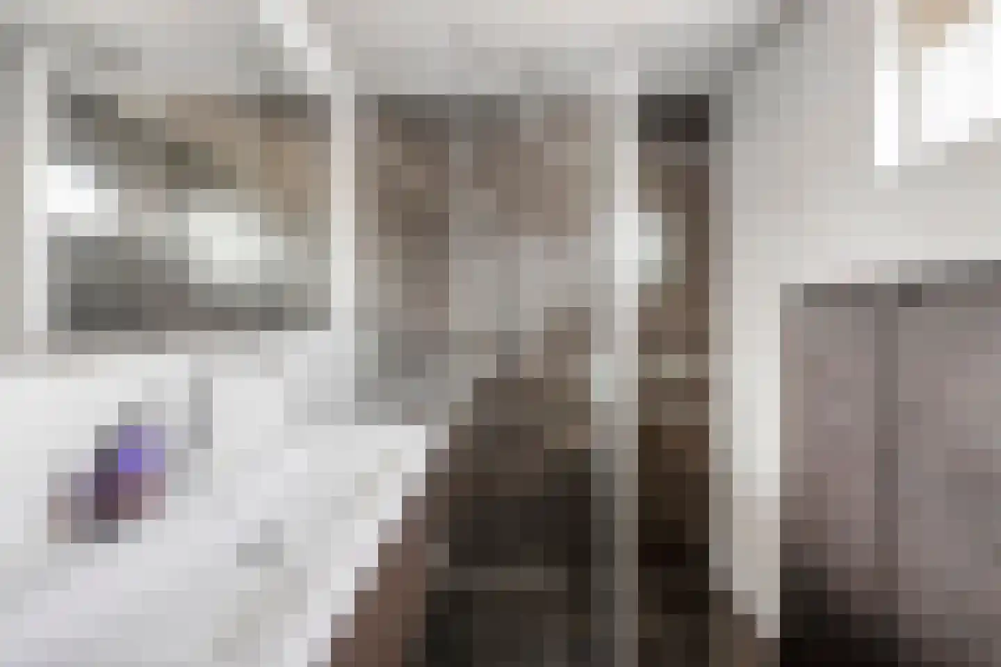 Vliegenstraat 14 Bunde thumbnail 4