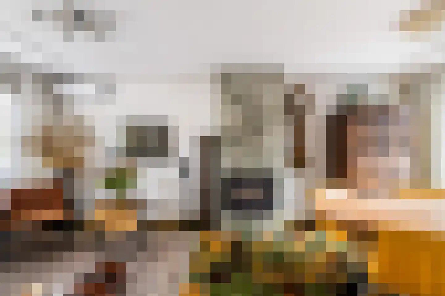 Vliegenstraat 21 Gouda thumbnail 10