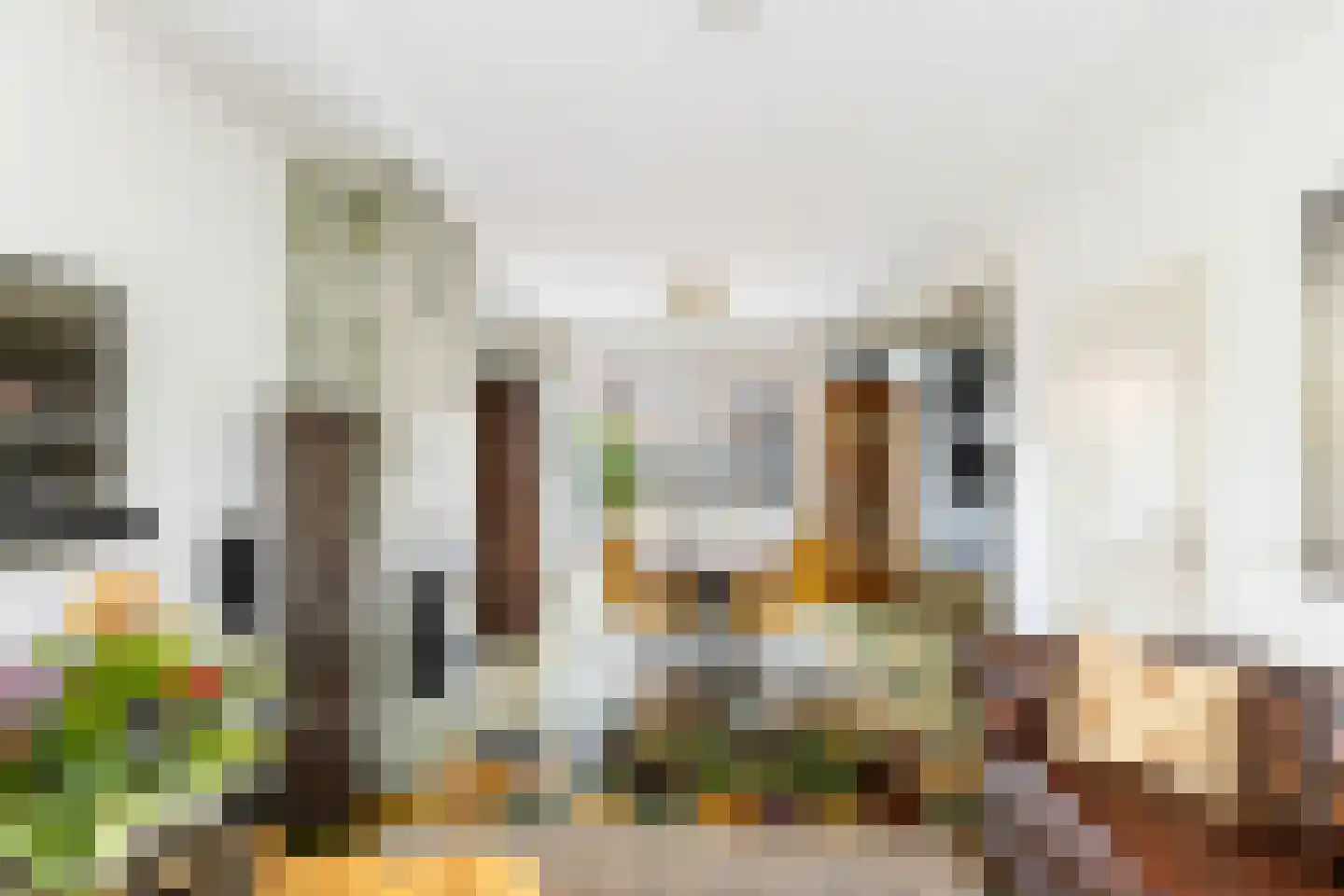 Vliegenstraat 21 Gouda thumbnail 14