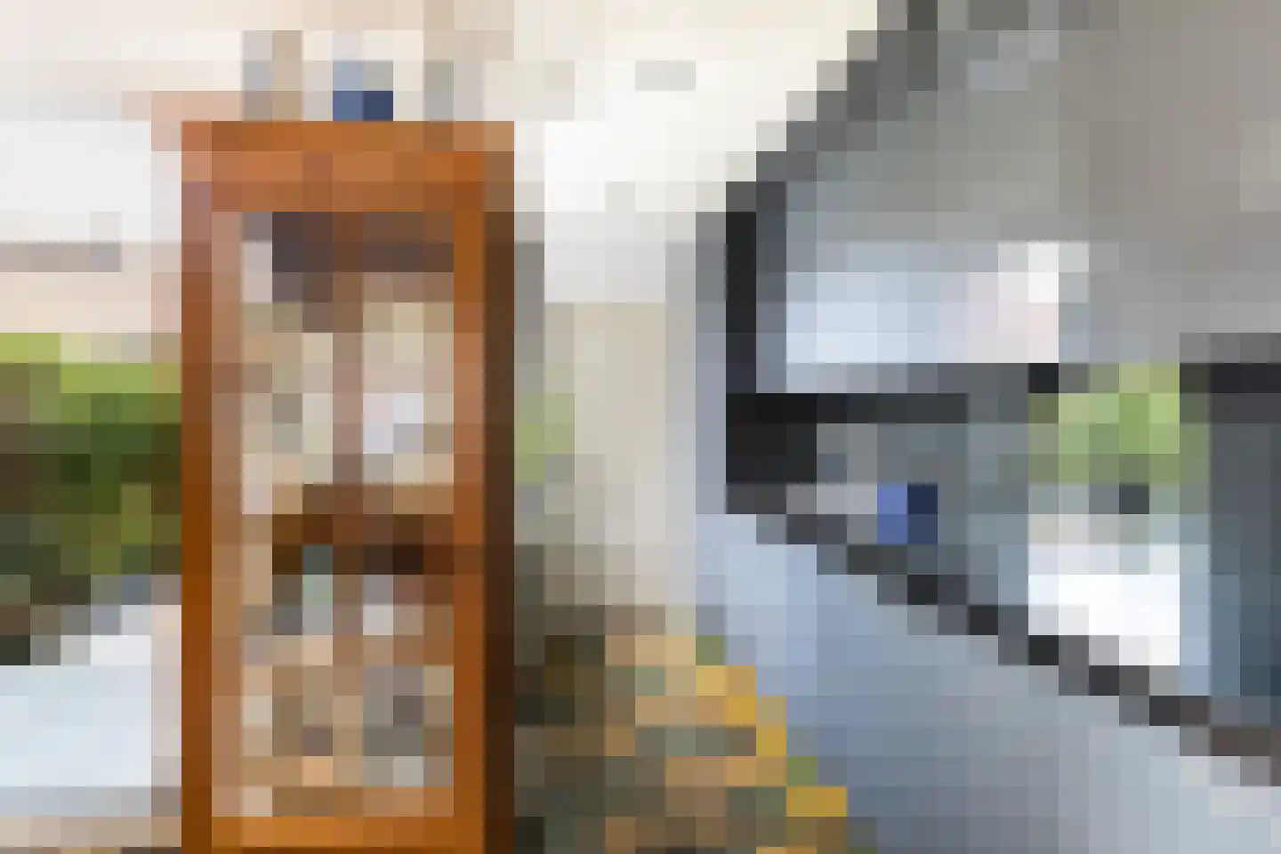 Vliegenstraat 21 Gouda thumbnail 18