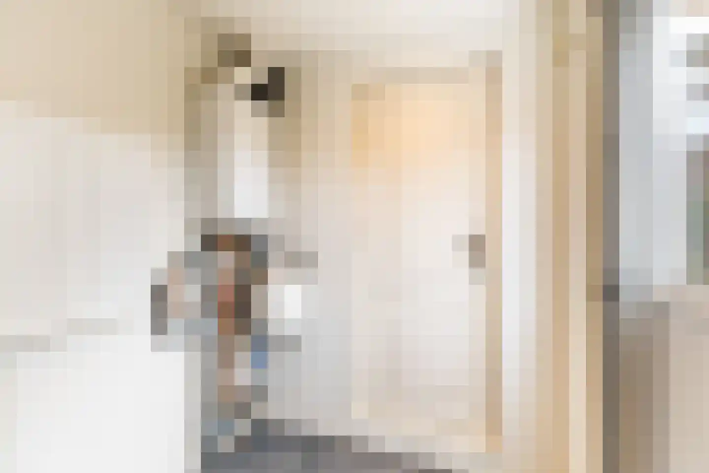 Vliegenstraat 21 Gouda thumbnail 23