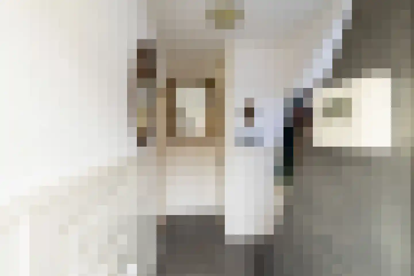 Vliegenstraat 21 Gouda thumbnail 25
