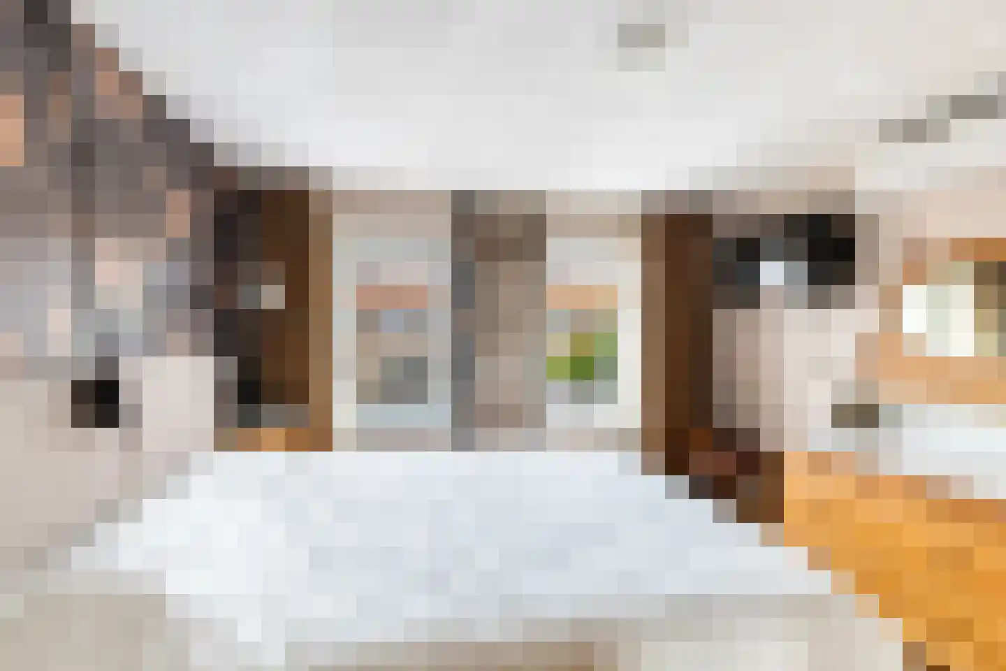 Vliegenstraat 21 Gouda thumbnail 26