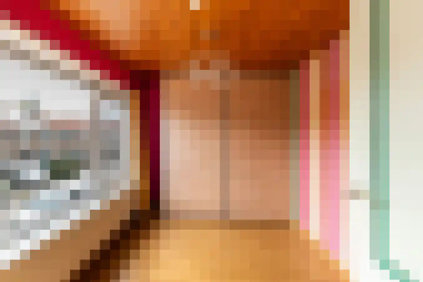 Vliegenstraat 21 Gouda thumbnail 31