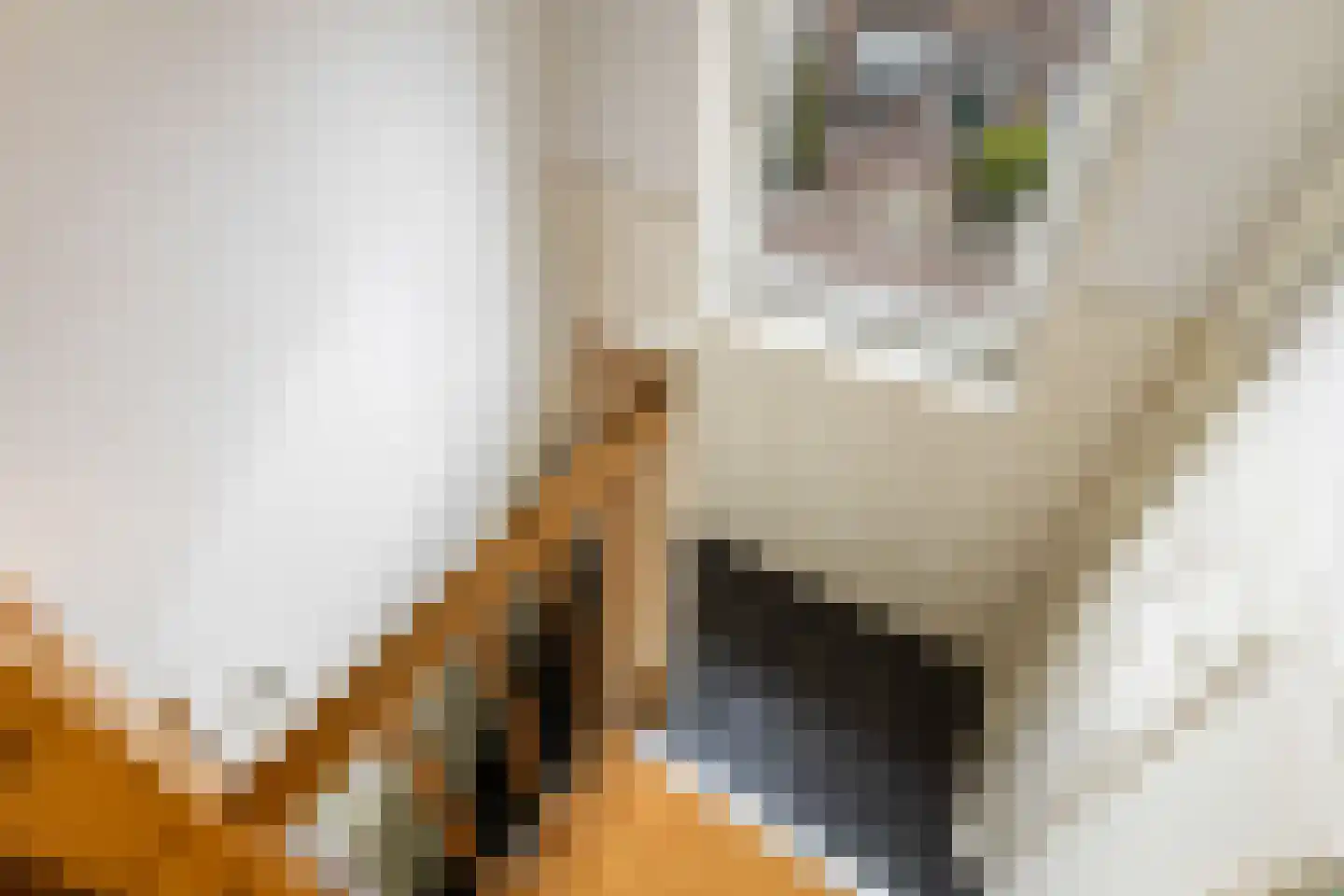 Vliegenstraat 21 Gouda thumbnail 36