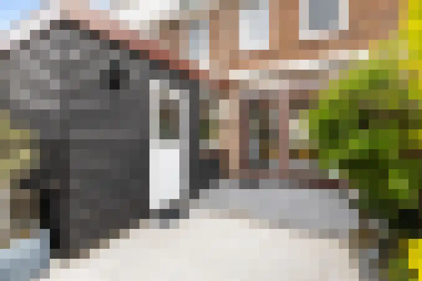 Vliegenstraat 21 Gouda thumbnail 42