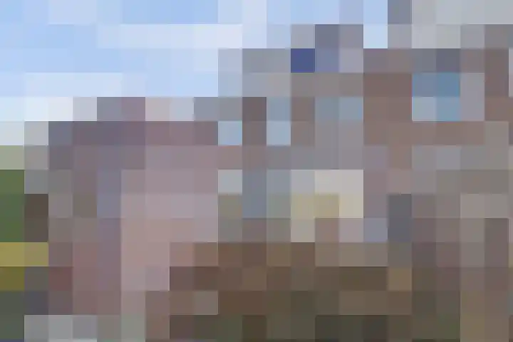 Vliegenstraat 25 Gouda thumbnail 32
