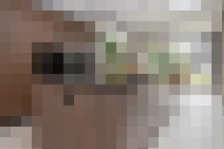 Vliegenstraat 31 Bunde thumbnail 10