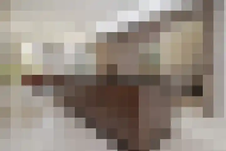Vliegenstraat 31 Bunde thumbnail 11
