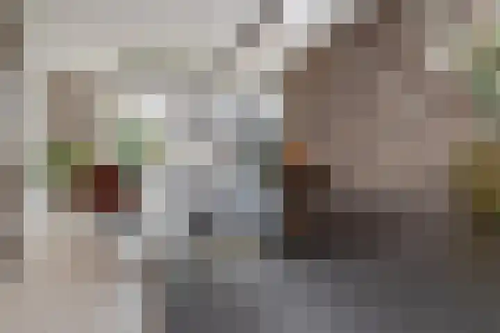 Vliegenstraat 31 Bunde thumbnail 12