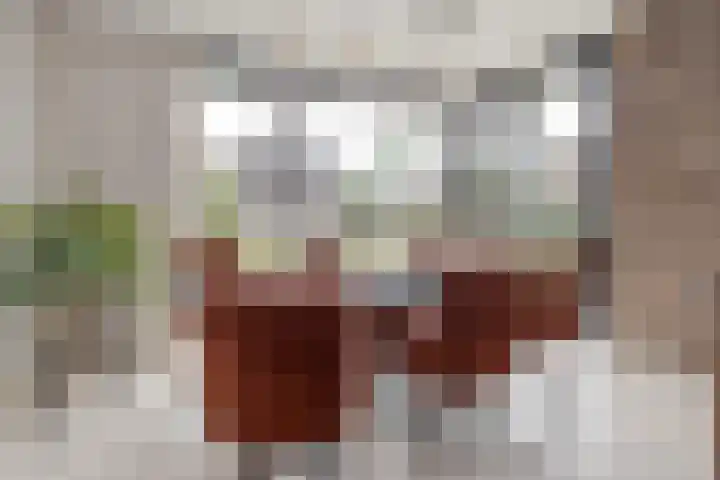 Vliegenstraat 31 Bunde thumbnail 13