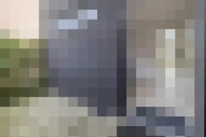 Vliegenstraat 31 Bunde thumbnail 15