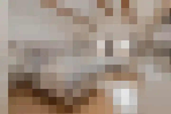 Vliegenstraat 31 Bunde thumbnail 25