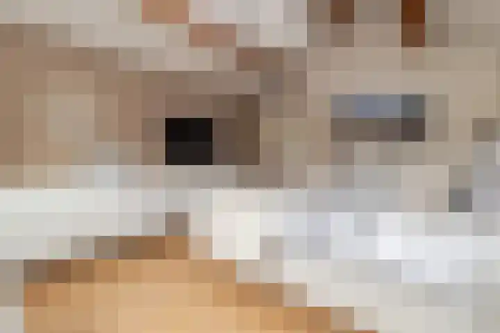 Vliegenstraat 31 Bunde thumbnail 26