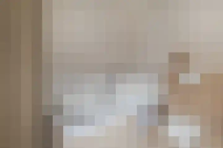 Vliegenstraat 31 Bunde thumbnail 28
