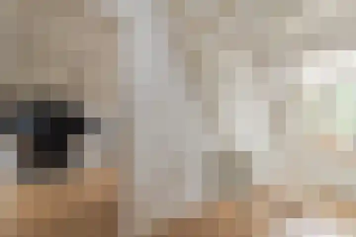 Vliegenstraat 31 Bunde thumbnail 30