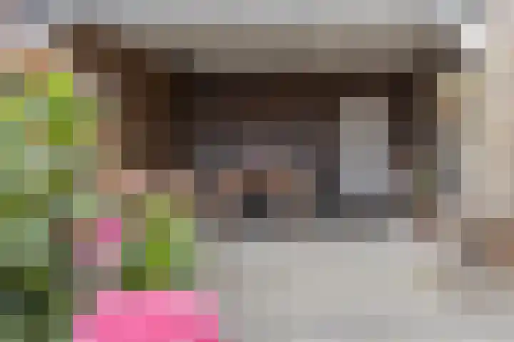 Vliegenstraat 31 Bunde thumbnail 33