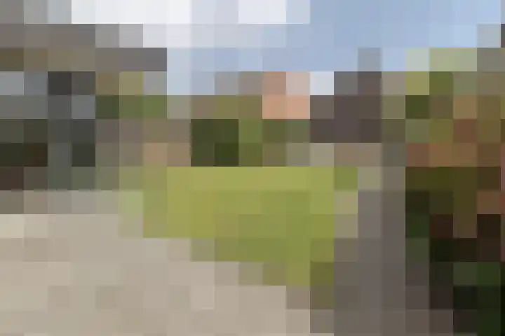 Vliegenstraat 31 Bunde thumbnail 34