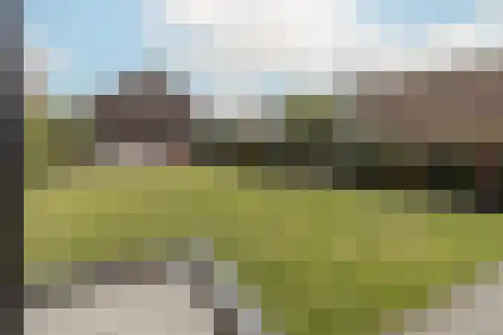 Vliegenstraat 31 Bunde thumbnail 35