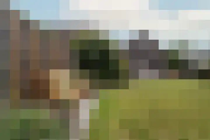 Vliegenstraat 31 Bunde thumbnail 36