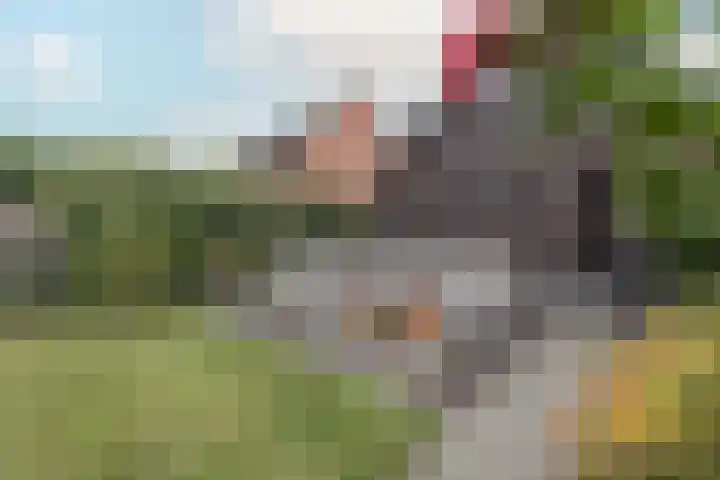 Vliegenstraat 31 Bunde thumbnail 39