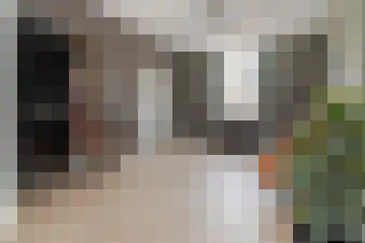 Vliegenstraat 31 Bunde thumbnail 4