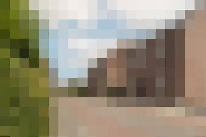 Vliegenstraat 31 Bunde thumbnail 46