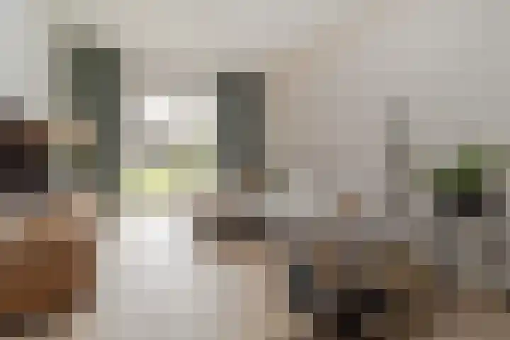 Vliegenstraat 31 Bunde thumbnail 6