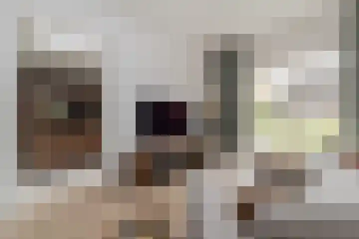Vliegenstraat 31 Bunde thumbnail 7