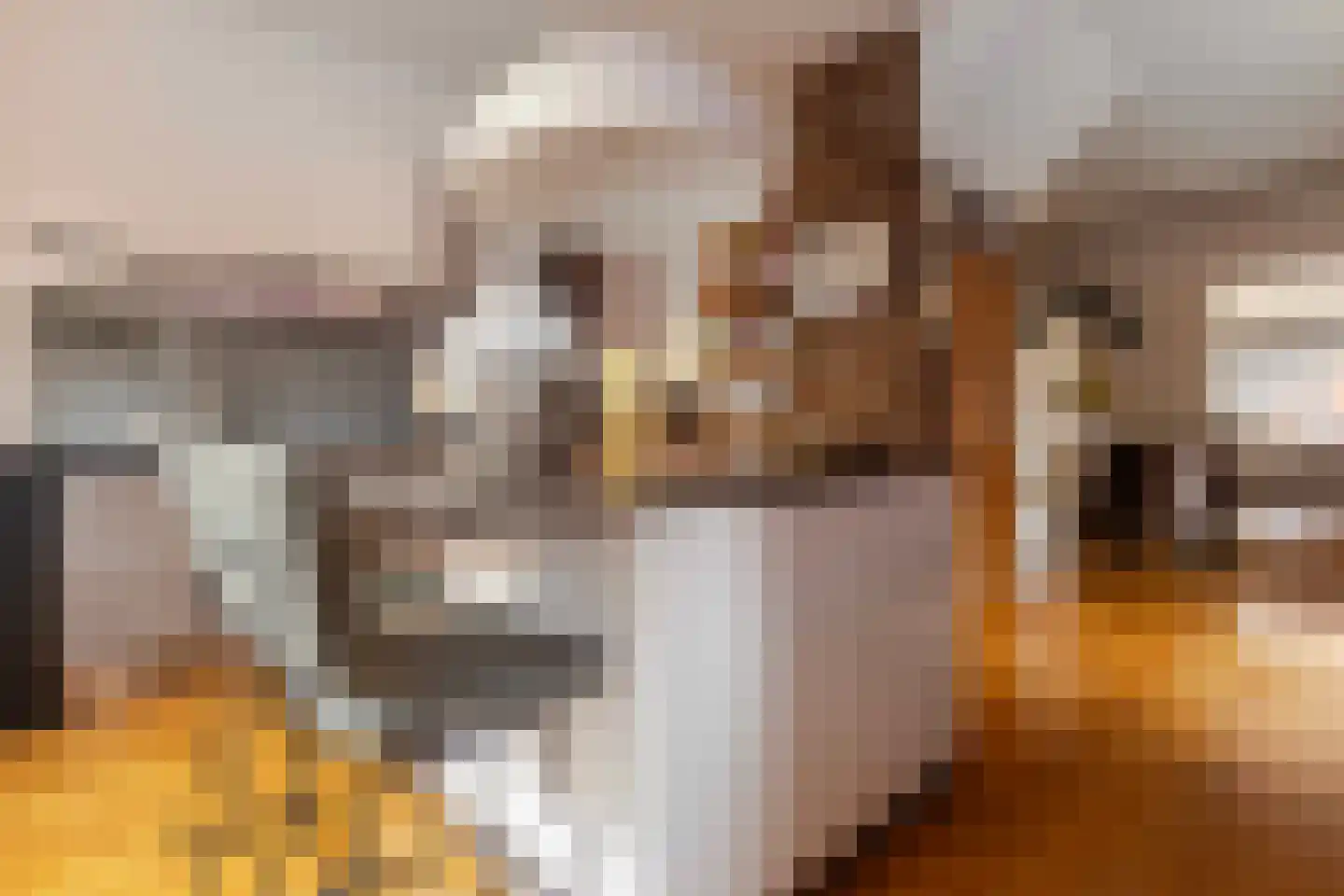 Vliegenstraat 33 Bunde thumbnail 15