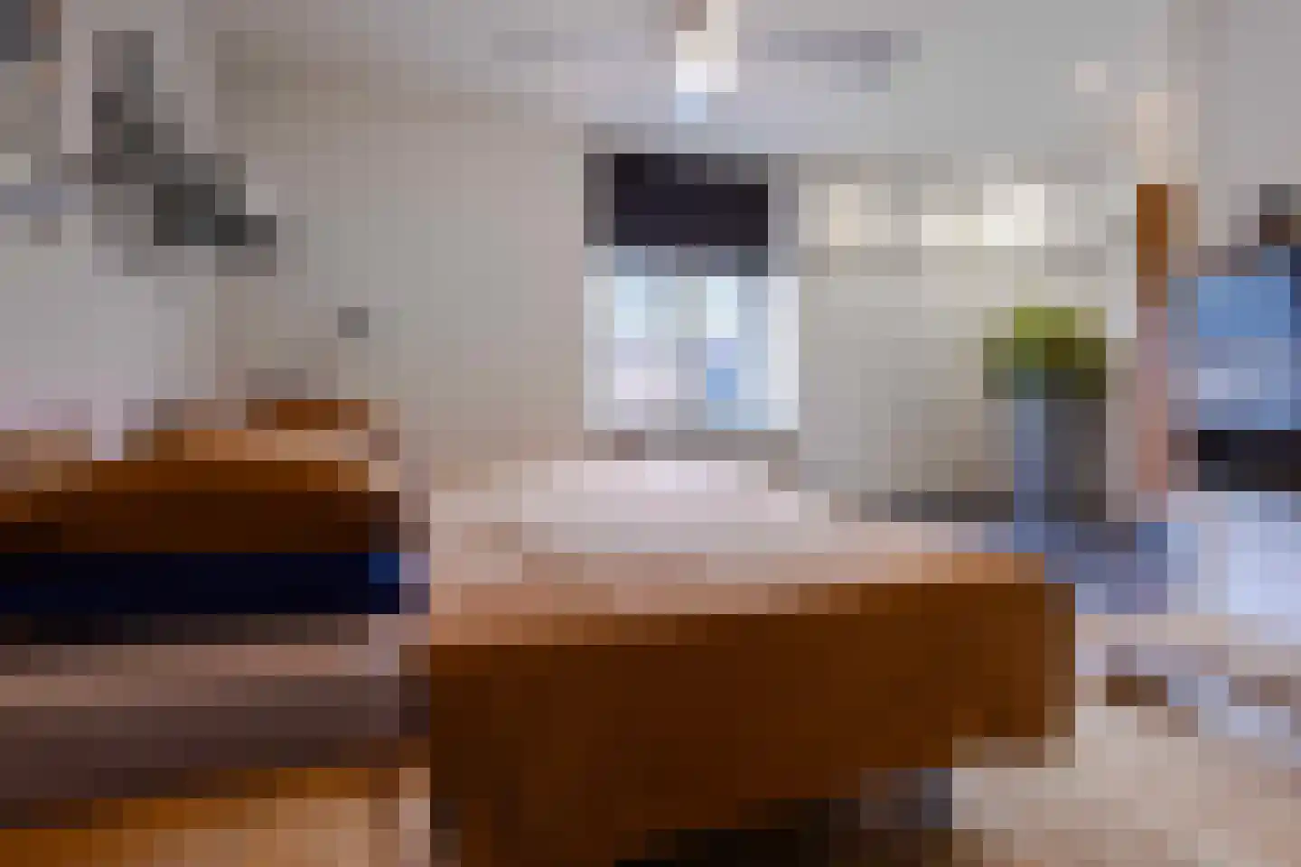 Vliegenstraat 33 Bunde thumbnail 20